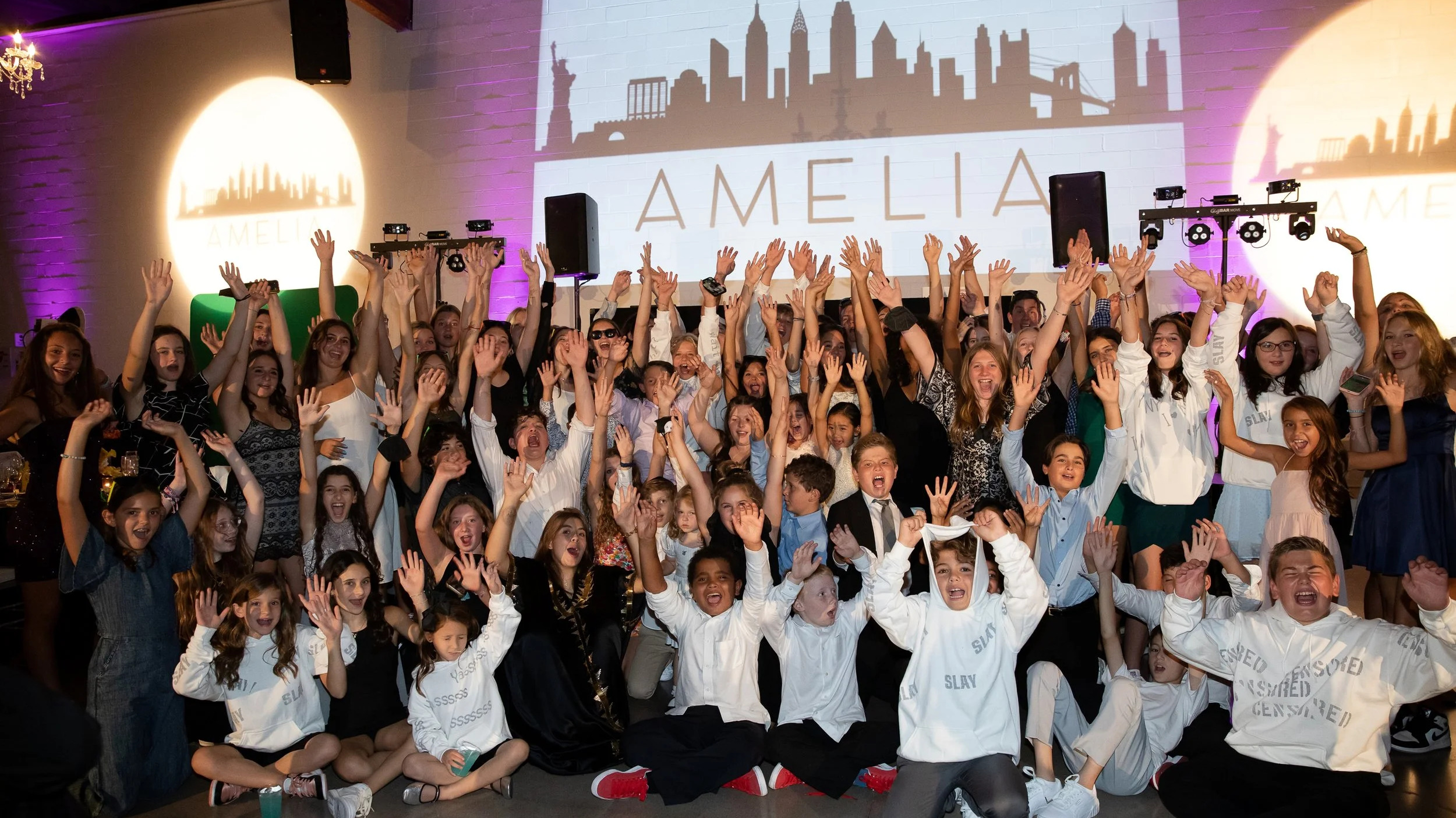 Troy Entertainment Professional DJ