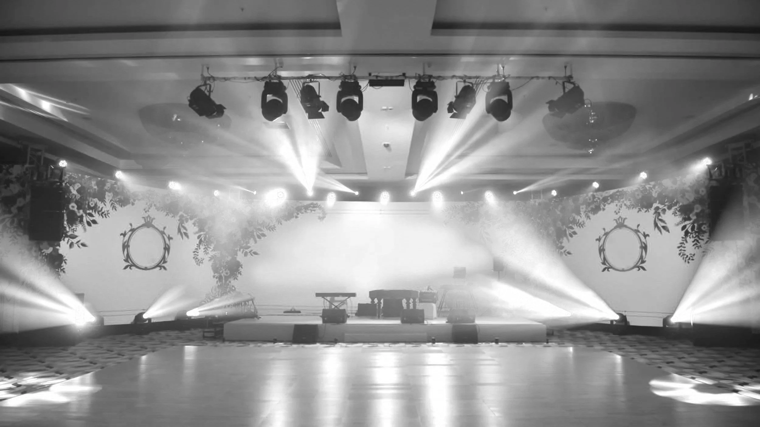 Troy Entertainment Professional DJ