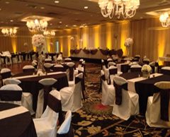 Spotlight & Follow Spot