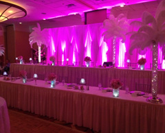 Ceremony or Cocktail System